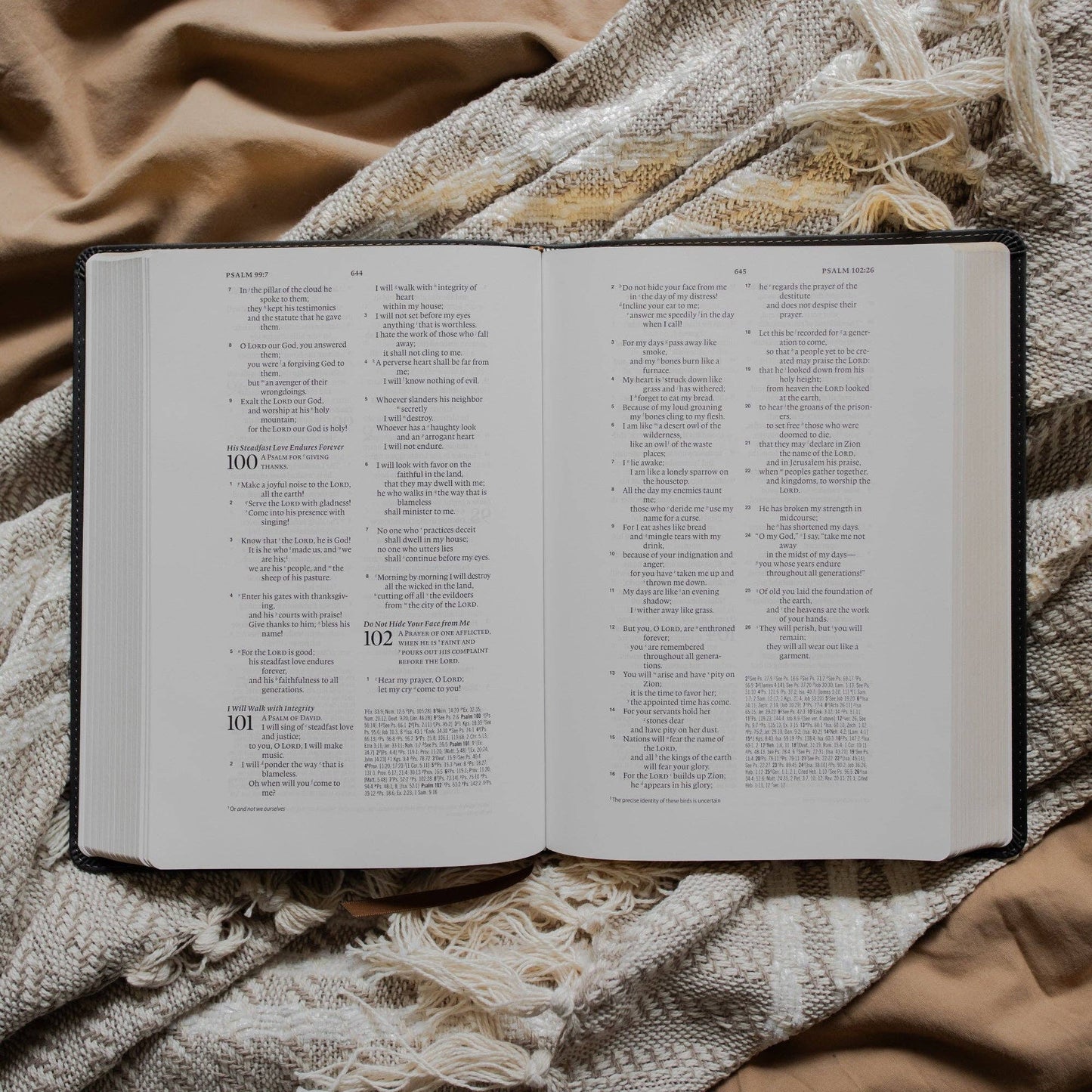 Morning Glory ESV Wide Margin Reference Bible